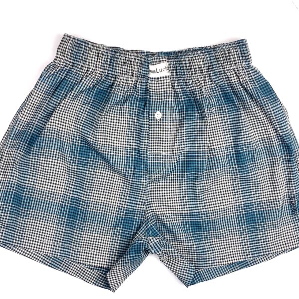 Turquoise Woven Boxer Shorts