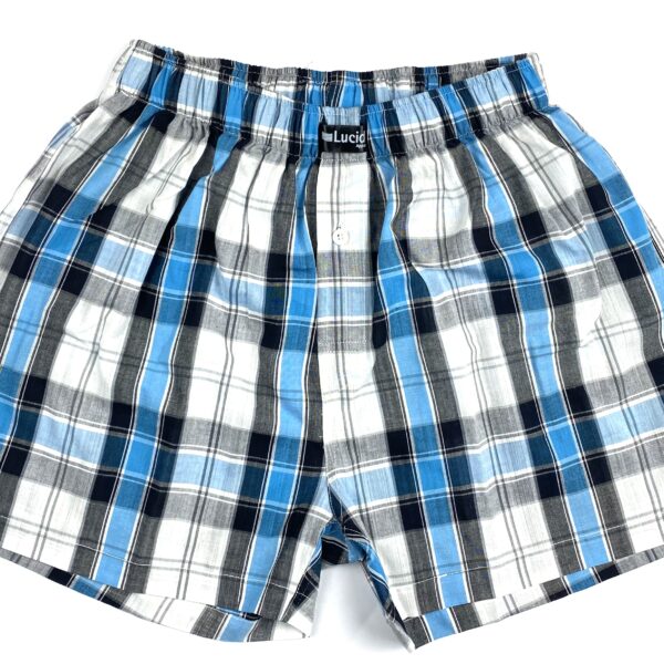 Multi Woven Boxer Shorts